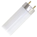 F17T8 Light Bulb R4847