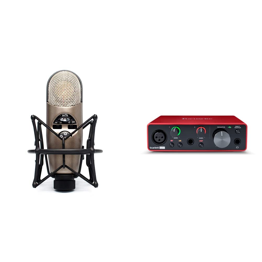 Large Diaphragm Condenser Microphone & USB Audio Interface P8130