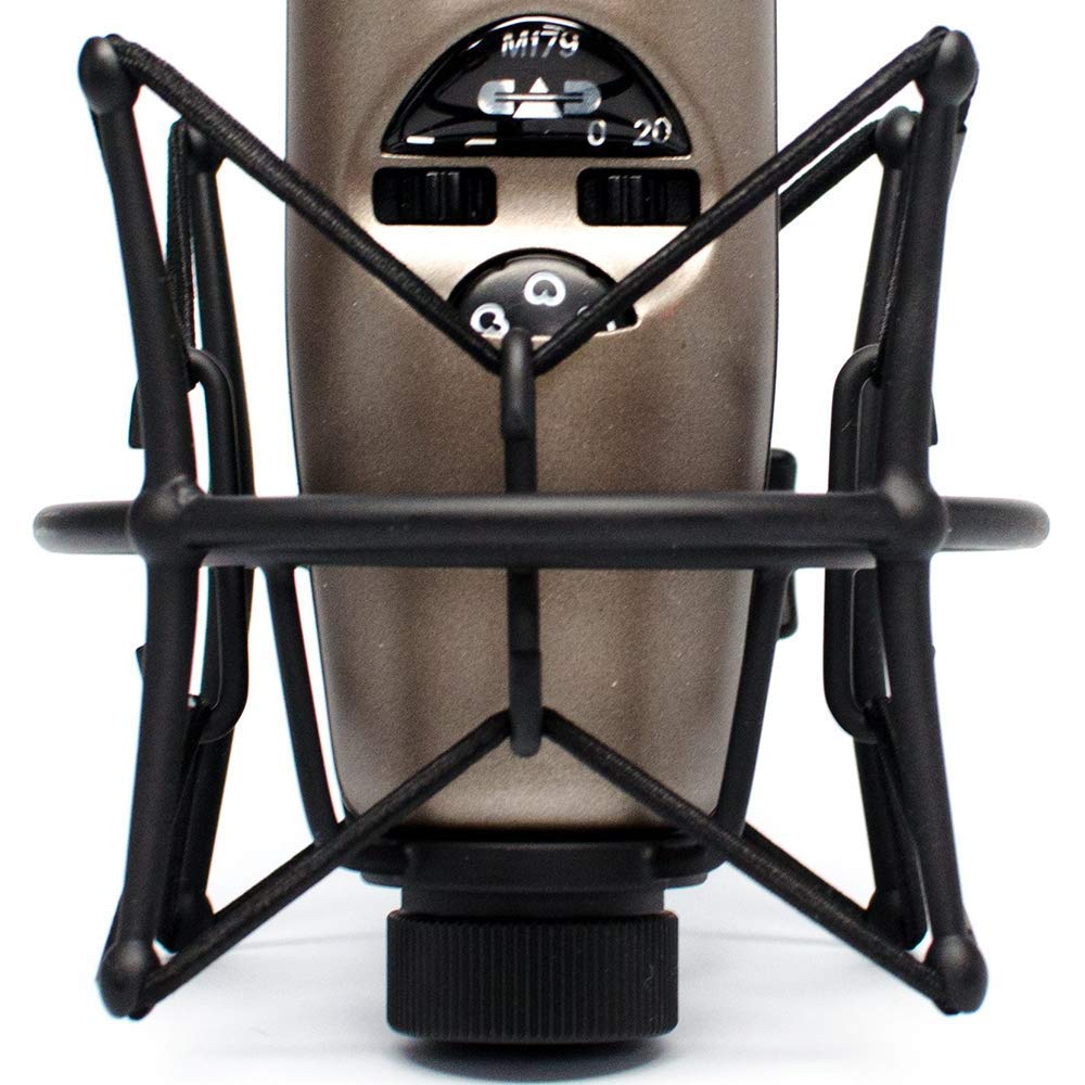Large Diaphragm Condenser Microphone & USB Audio Interface P8130