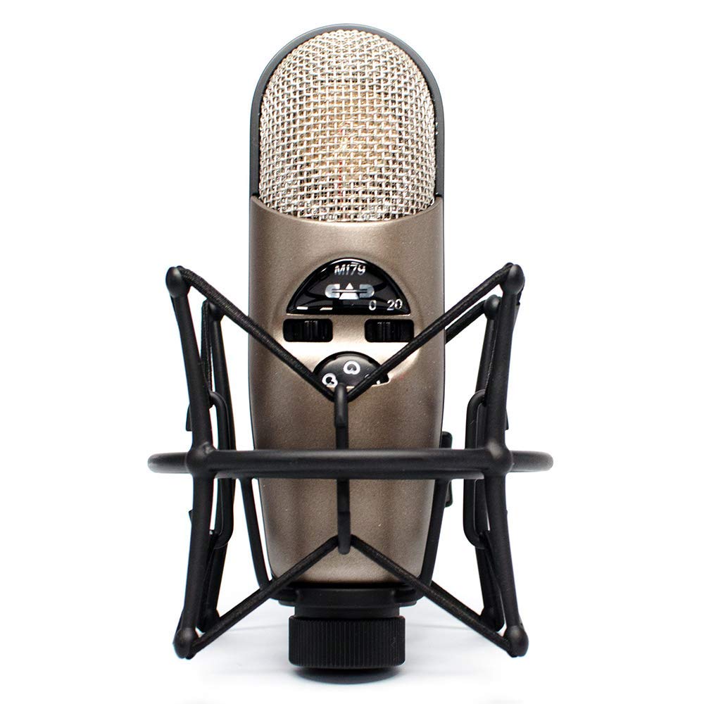 Large Diaphragm Condenser Microphone & USB Audio Interface P8130
