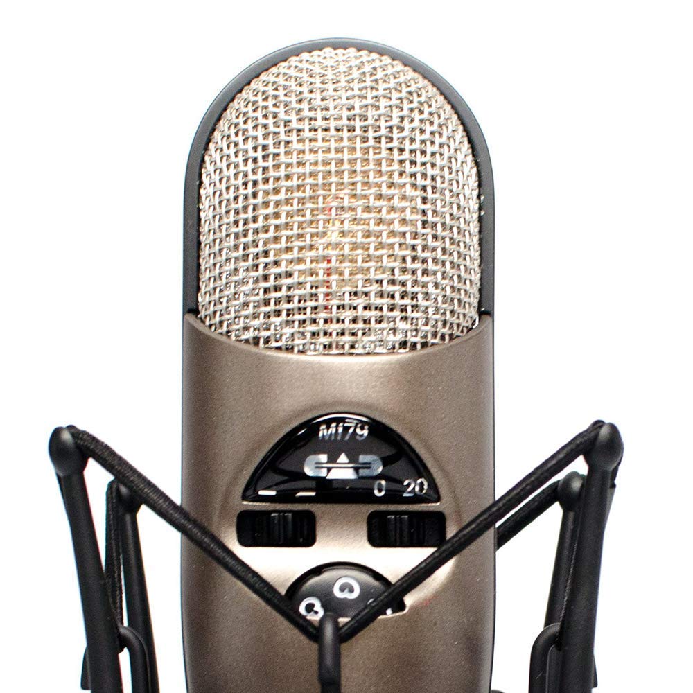 Large Diaphragm Condenser Microphone & USB Audio Interface P8130