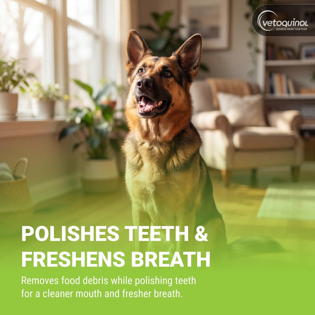 Enzymatic Toothpaste Kit + Fingerbrush, Poultry Flavor E13826