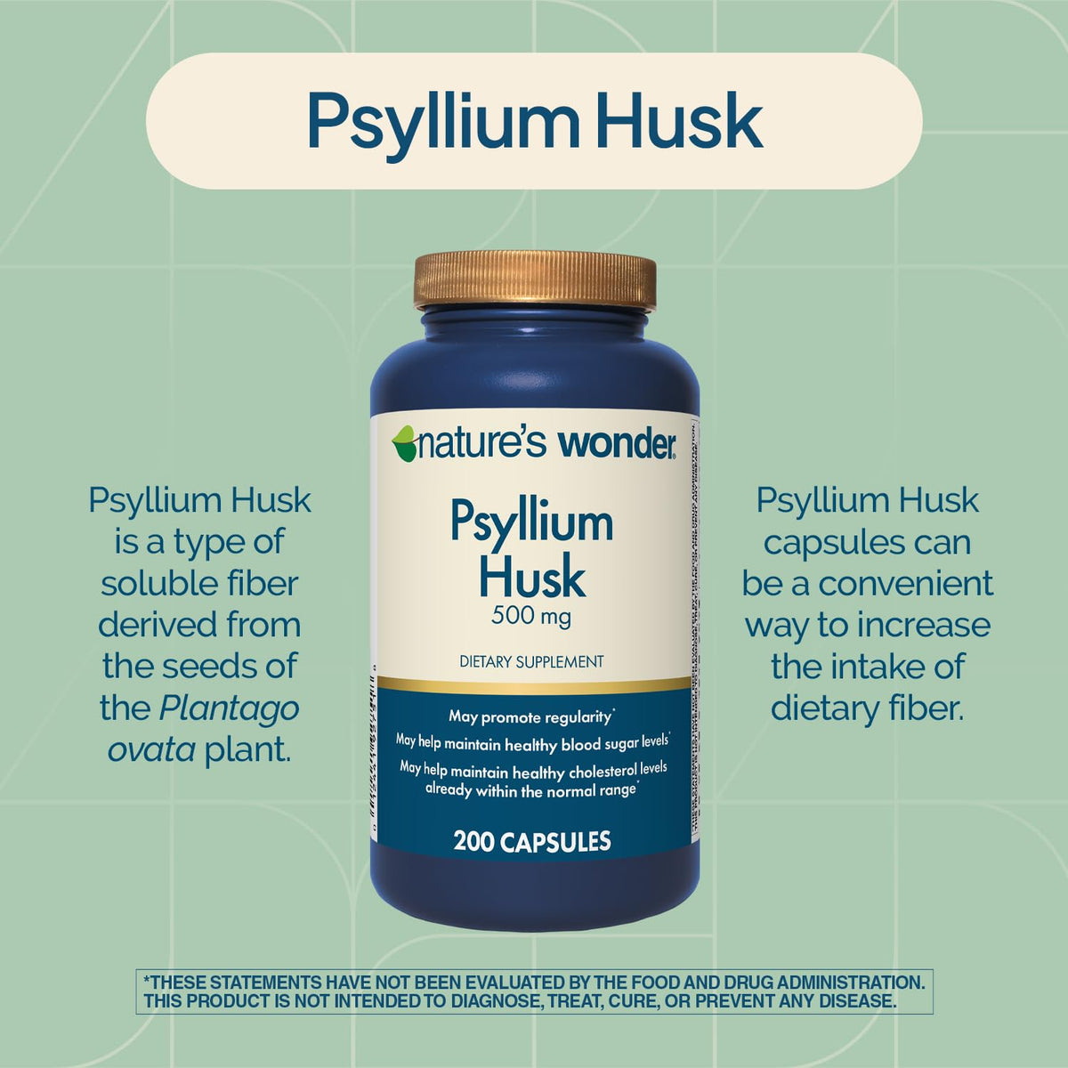 Psyllium Husk 500 mg Capsules 200 Count C545187