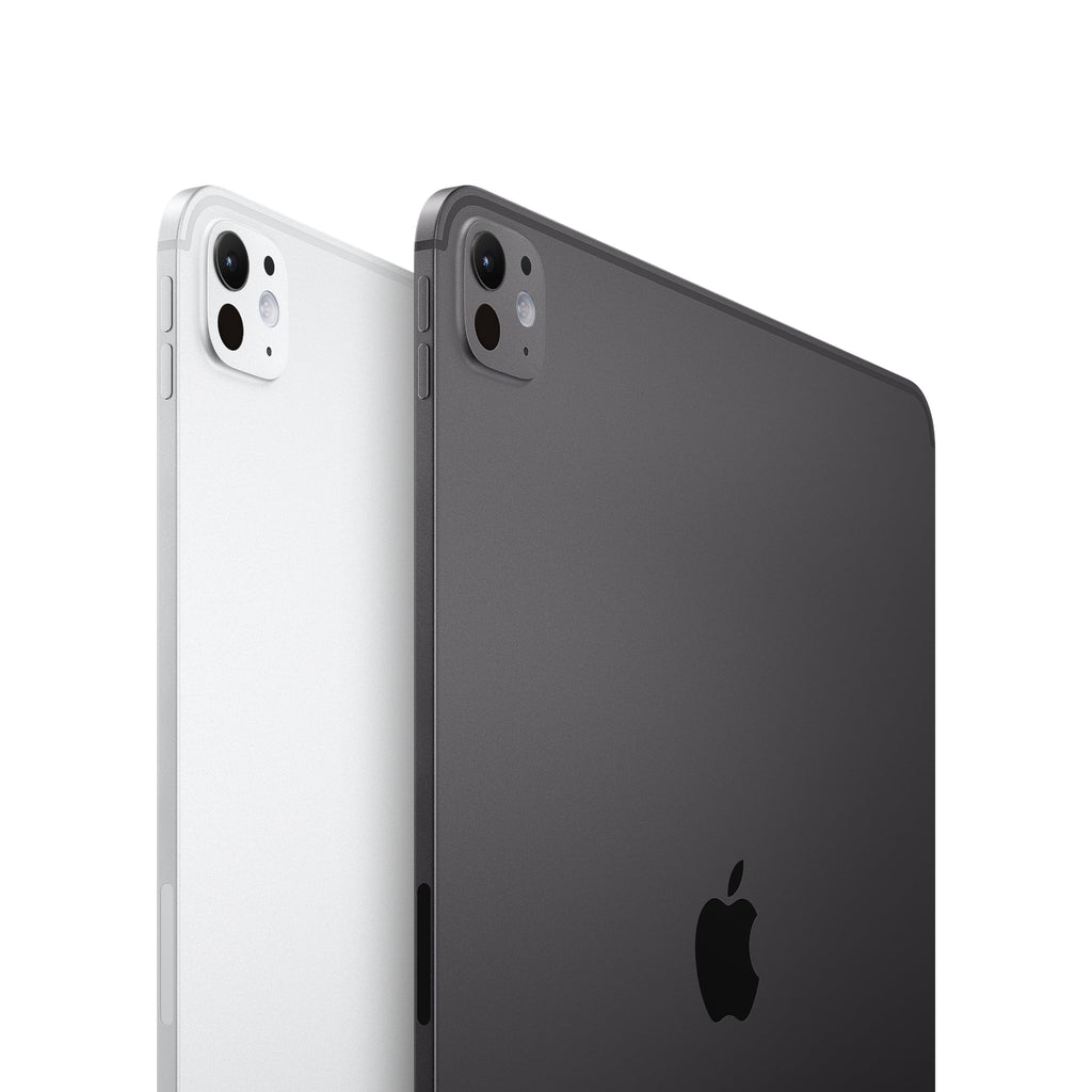 13-Inch iPad Pro 1TB Silver F380132