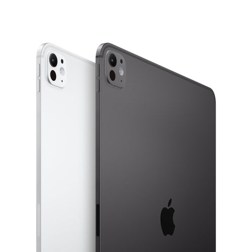 13-Inch iPad Pro 1TB Silver F380132