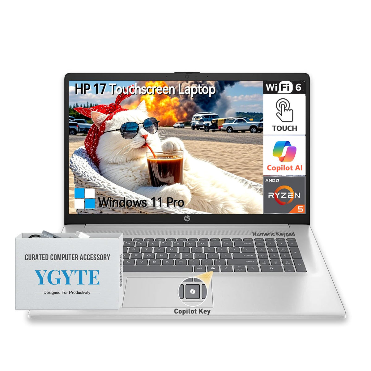 17.3 Inch Touchscreen Laptop AMD Ryzen 5 16GB RAM 1TB SSD Y251302