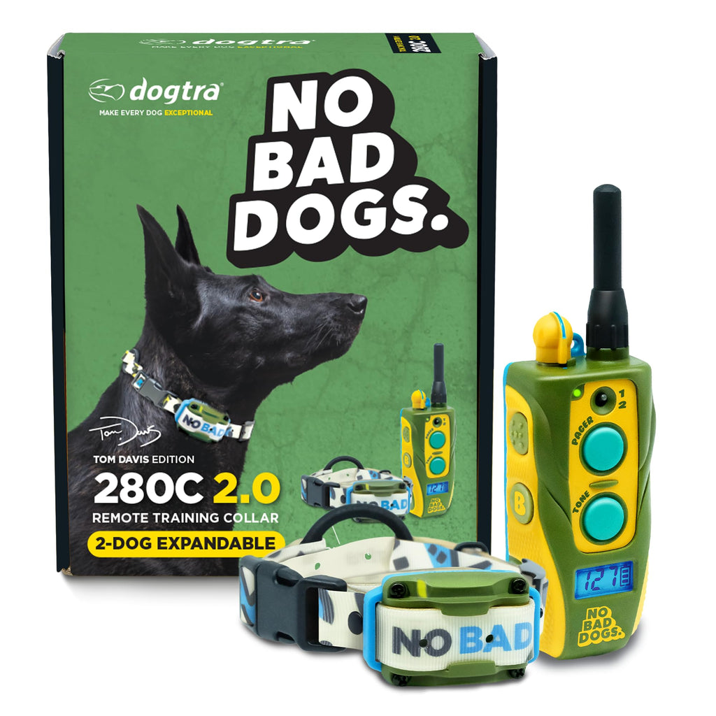 Waterproof Dog Training Collar with Remote N414350
