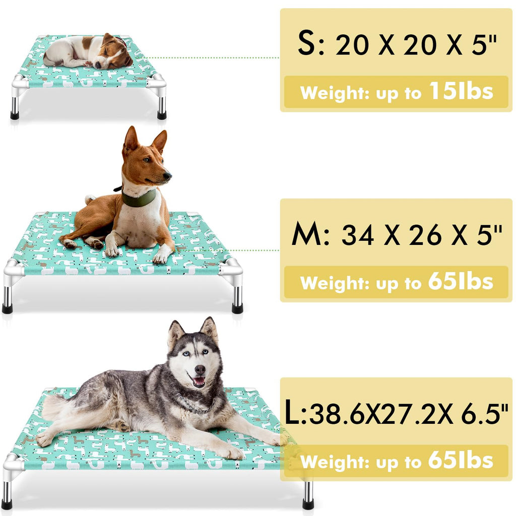 Elevated Dog Bed B3449