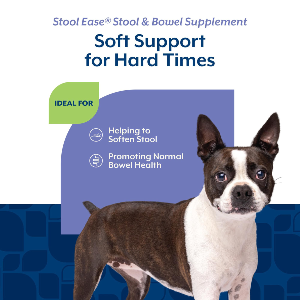 40 Soft Chews Dog Supplement X8483