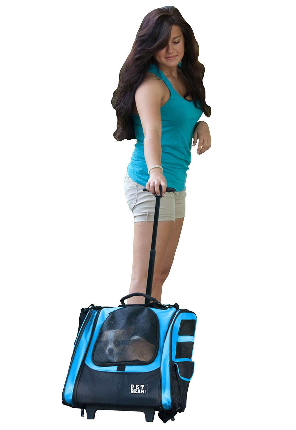 Large Traveler Backpack H690