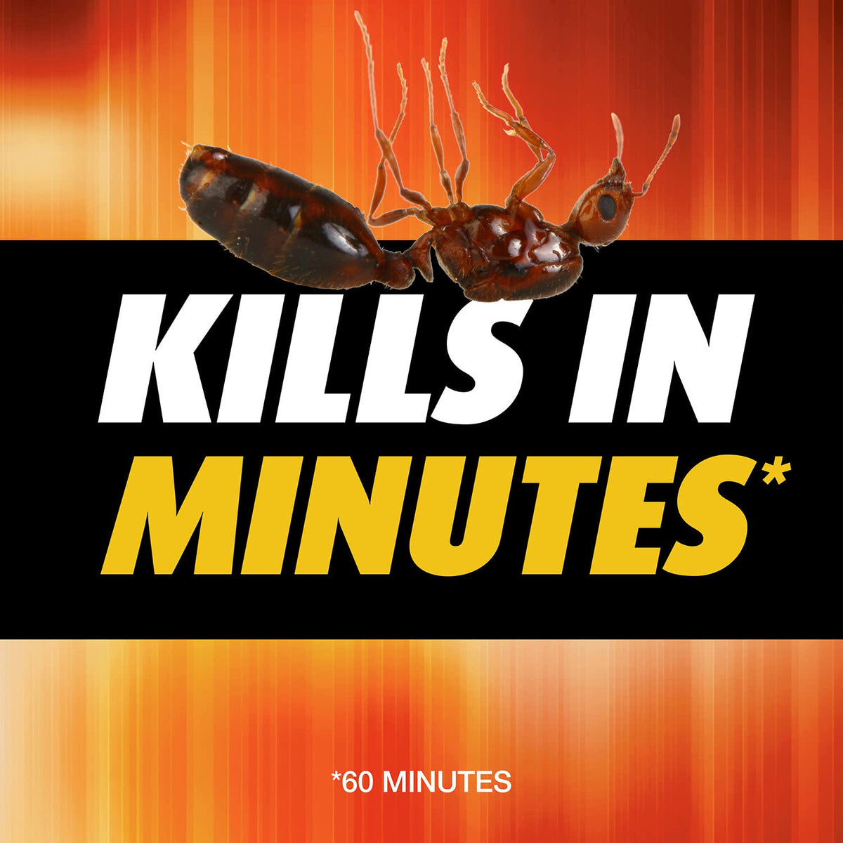Fire Ant Killer 12 oz Y804051