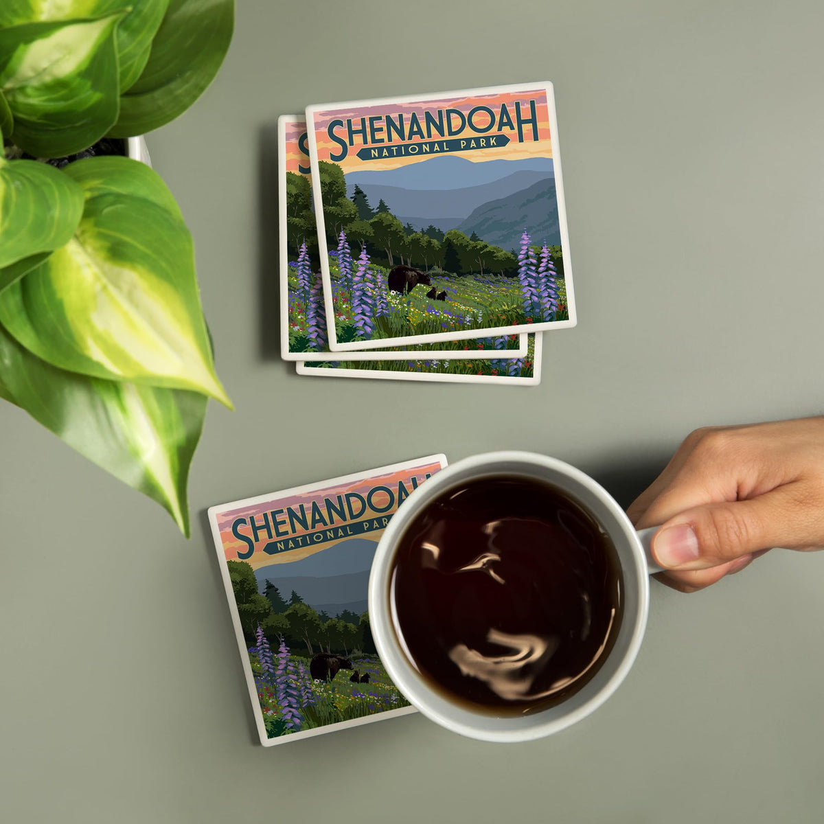 Ceramic Coasters Set of 4 C98242
