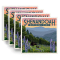 Ceramic Coasters Set of 4 C98242
