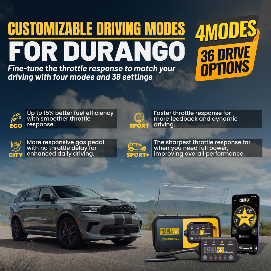 Throttle Response Controller L201