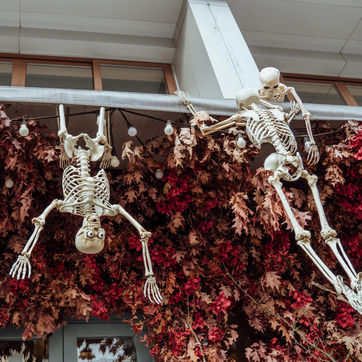 6 Pack Halloween Skeletons 3 5.4ft 3 3ft A505