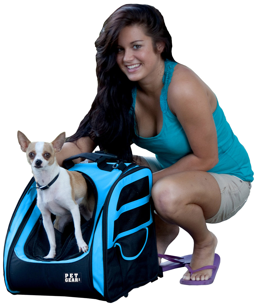 Large Traveler Backpack H690