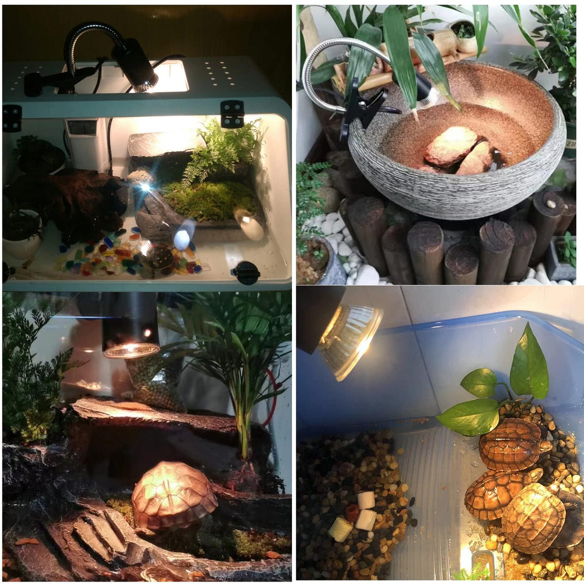 UVA UVB Reptile Heat Lamp with Two Heat Bulbs K6884