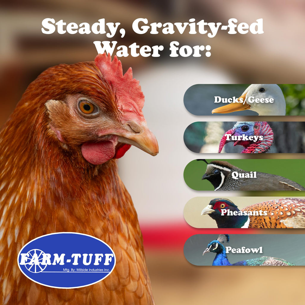 5-Gallon Hanging Chicken Waterer D612