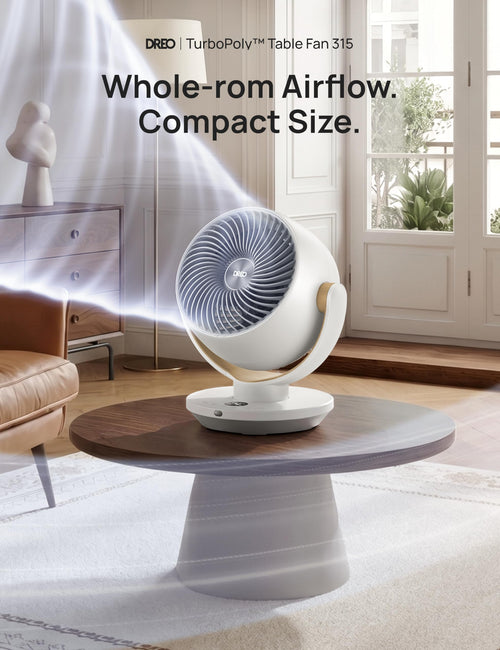 11 Inch Desk Air Circulator Fan with Remote M9524