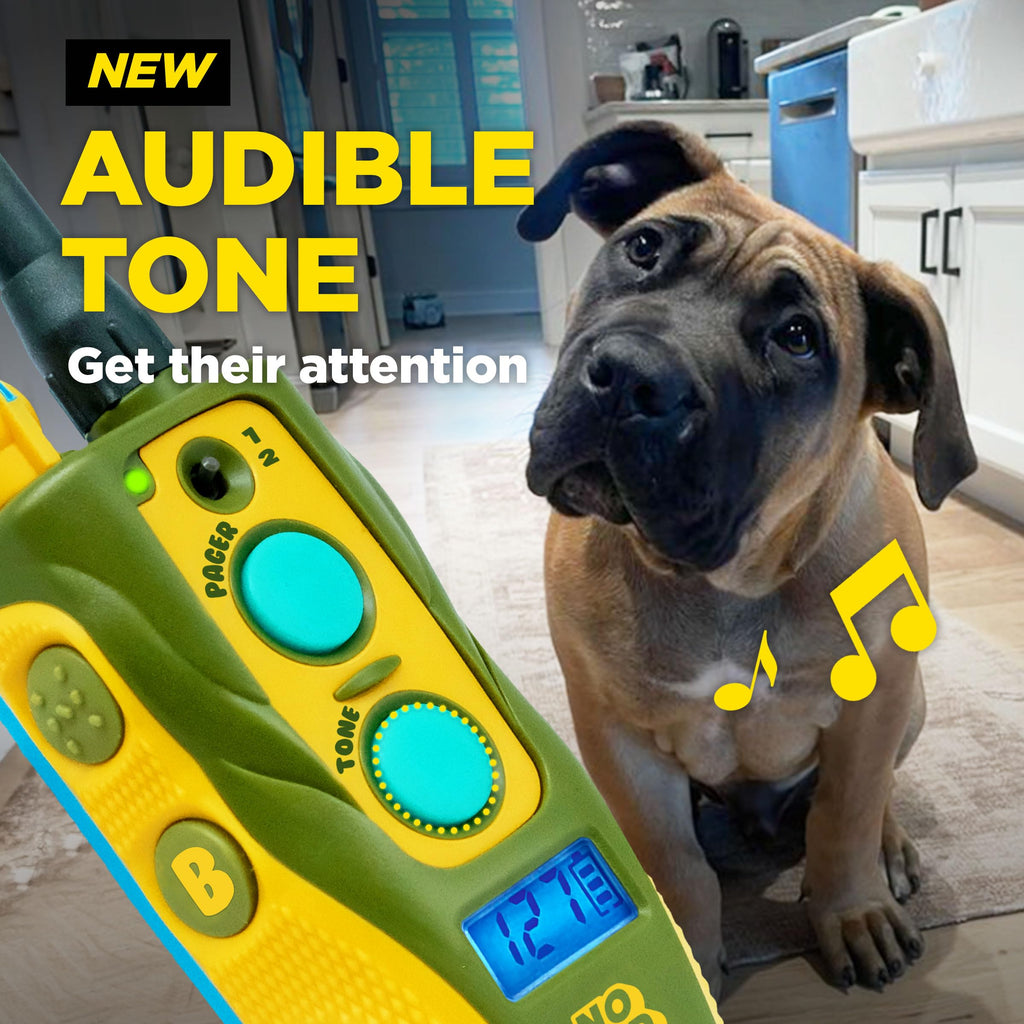 Waterproof Dog Training Collar with Remote N414350