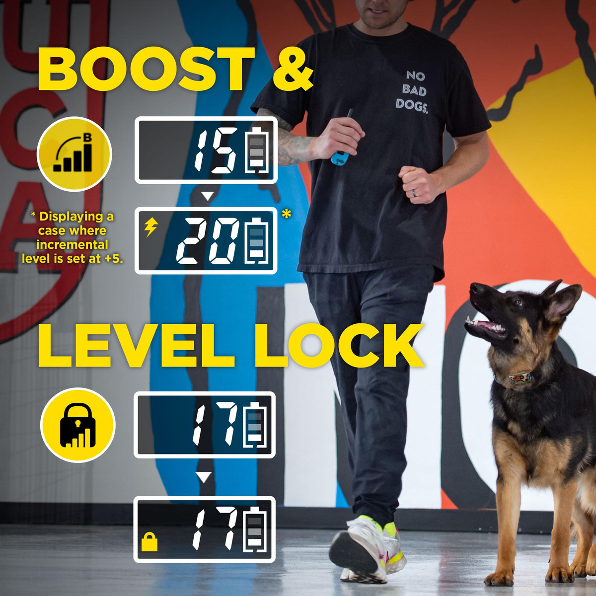 Waterproof Dog Training Collar with Remote N414350