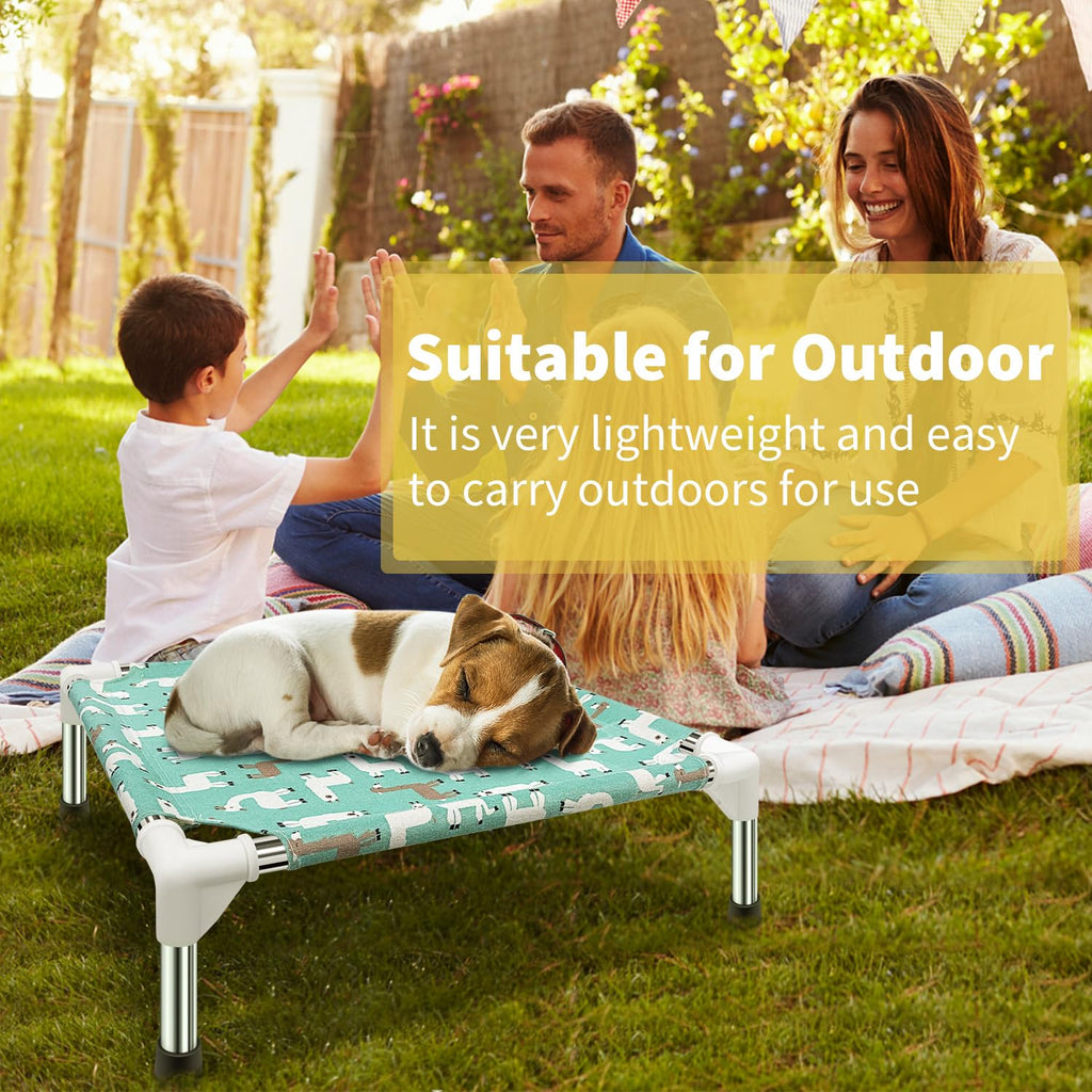 Elevated Dog Bed B3449