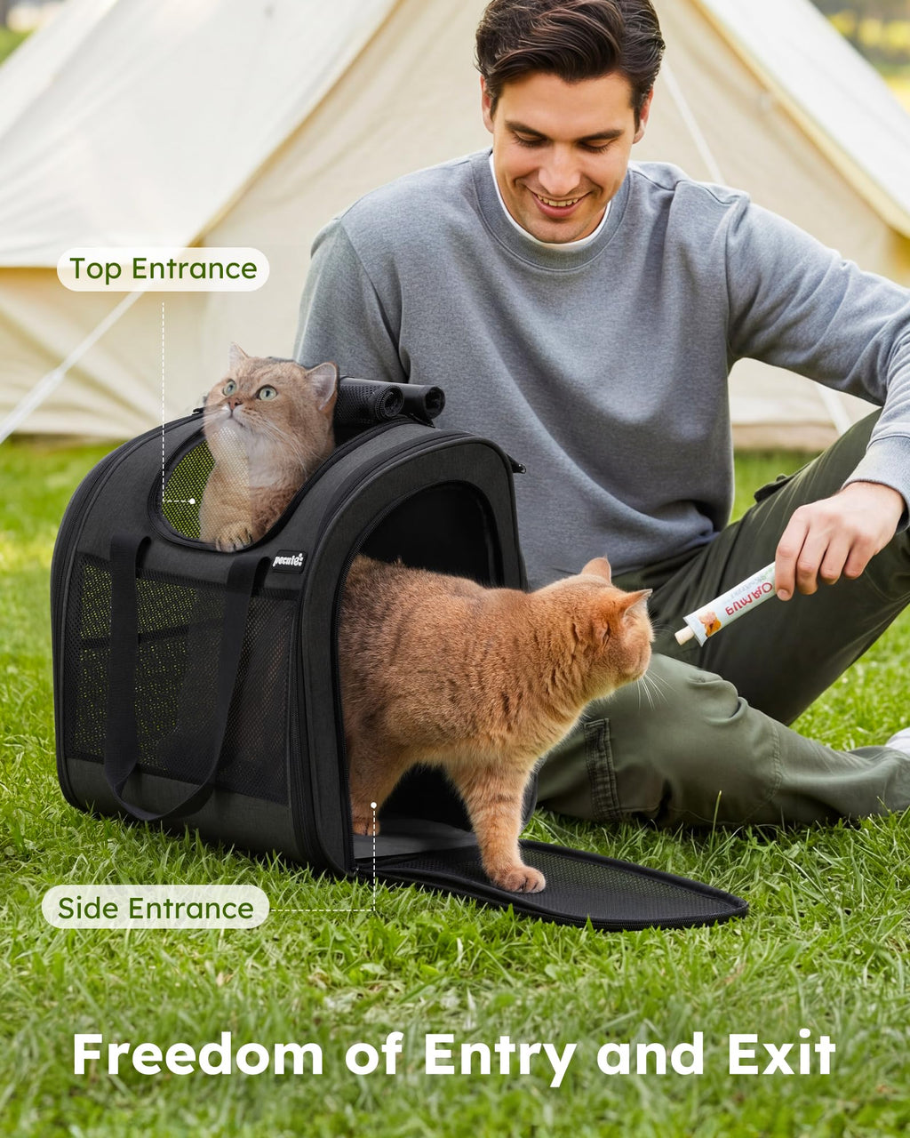 Dark Grey Cat Backpack with Breathable Mesh D2970