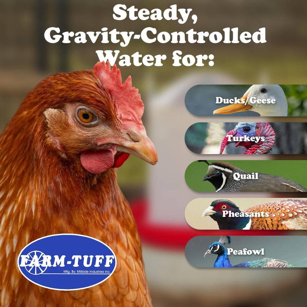 5 Gallon Plastic Poultry Waterer F5216