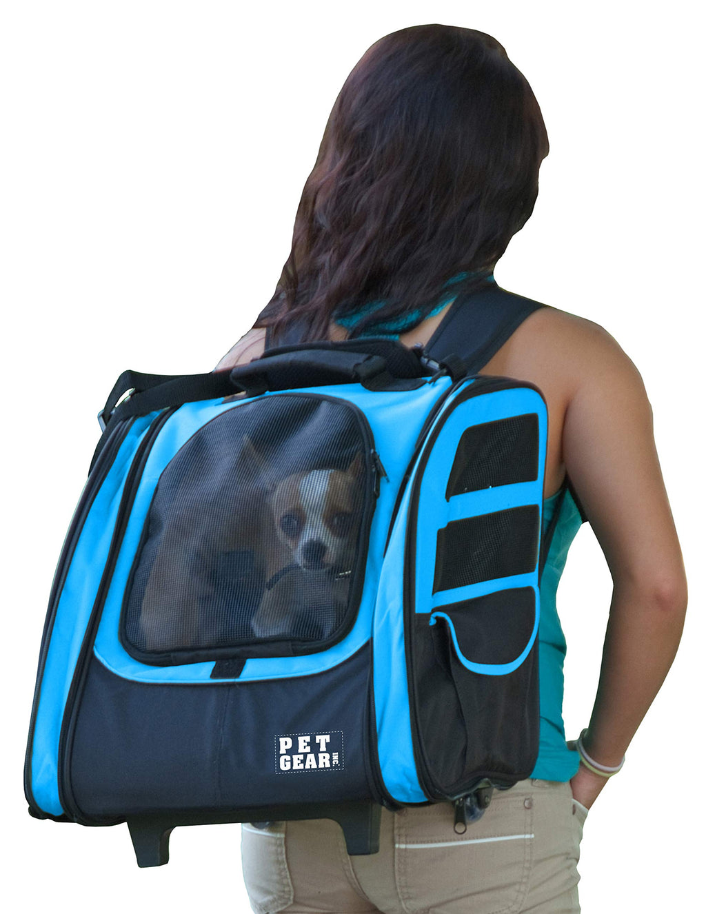 Large Traveler Backpack H690
