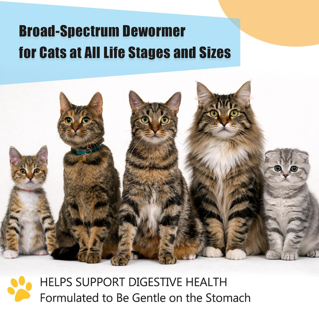 Dewormer for Cats and Kittens A48533