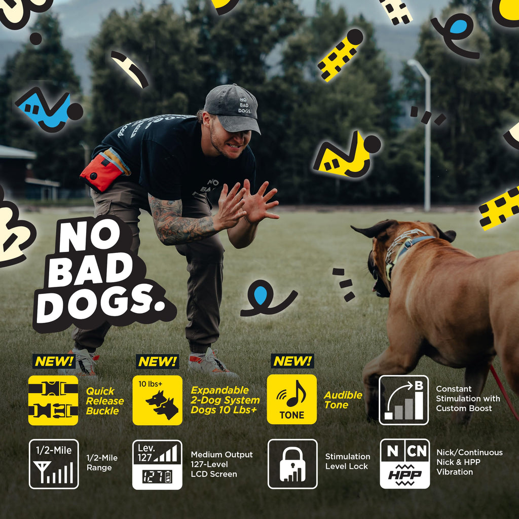 Waterproof Dog Training Collar with Remote N414350