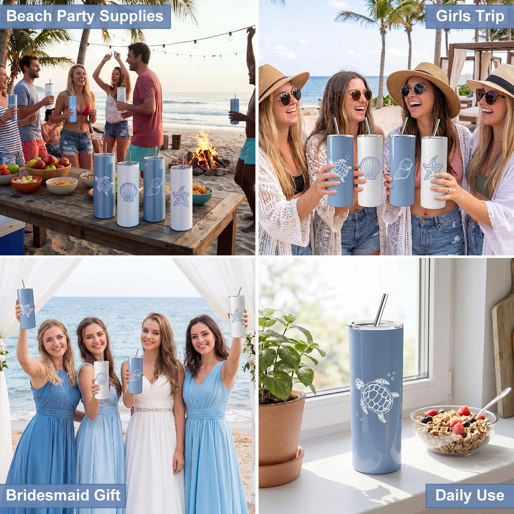 4 Pack Insulated Stainless Steel Tumblers B238