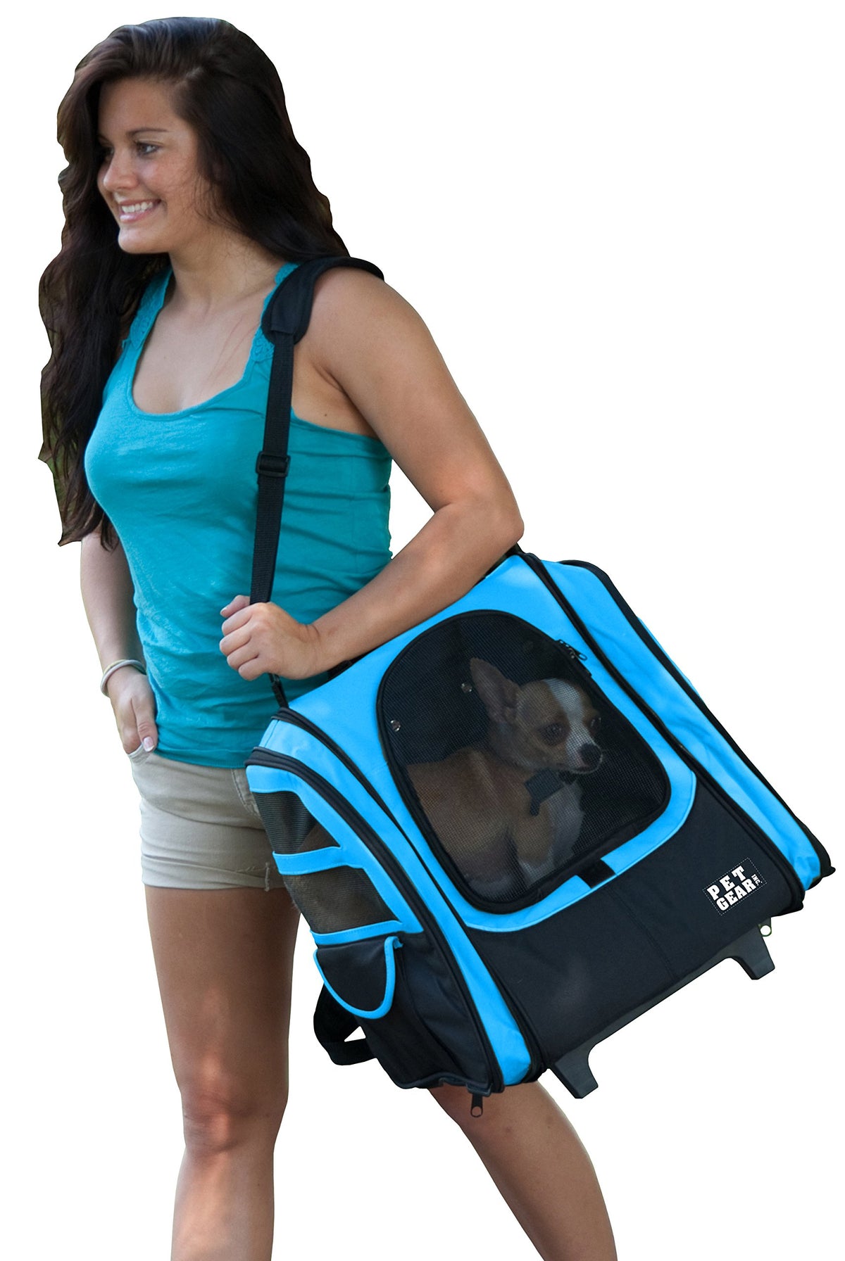 Large Traveler Backpack H690