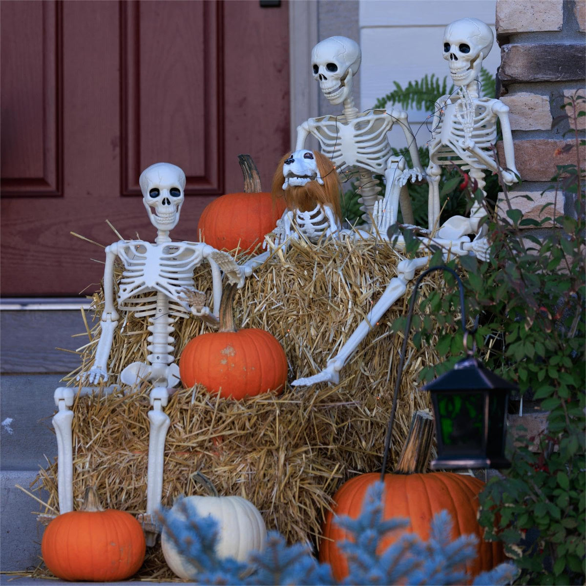 6 Pack Halloween Skeletons 3 5.4ft 3 3ft A505