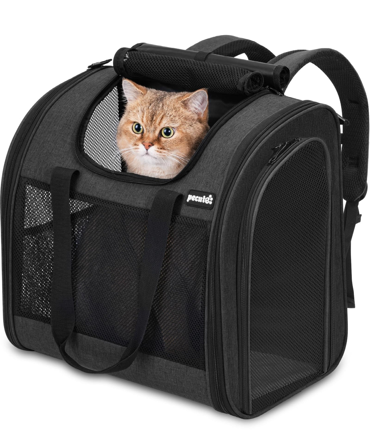Dark Grey Cat Backpack with Breathable Mesh D2970