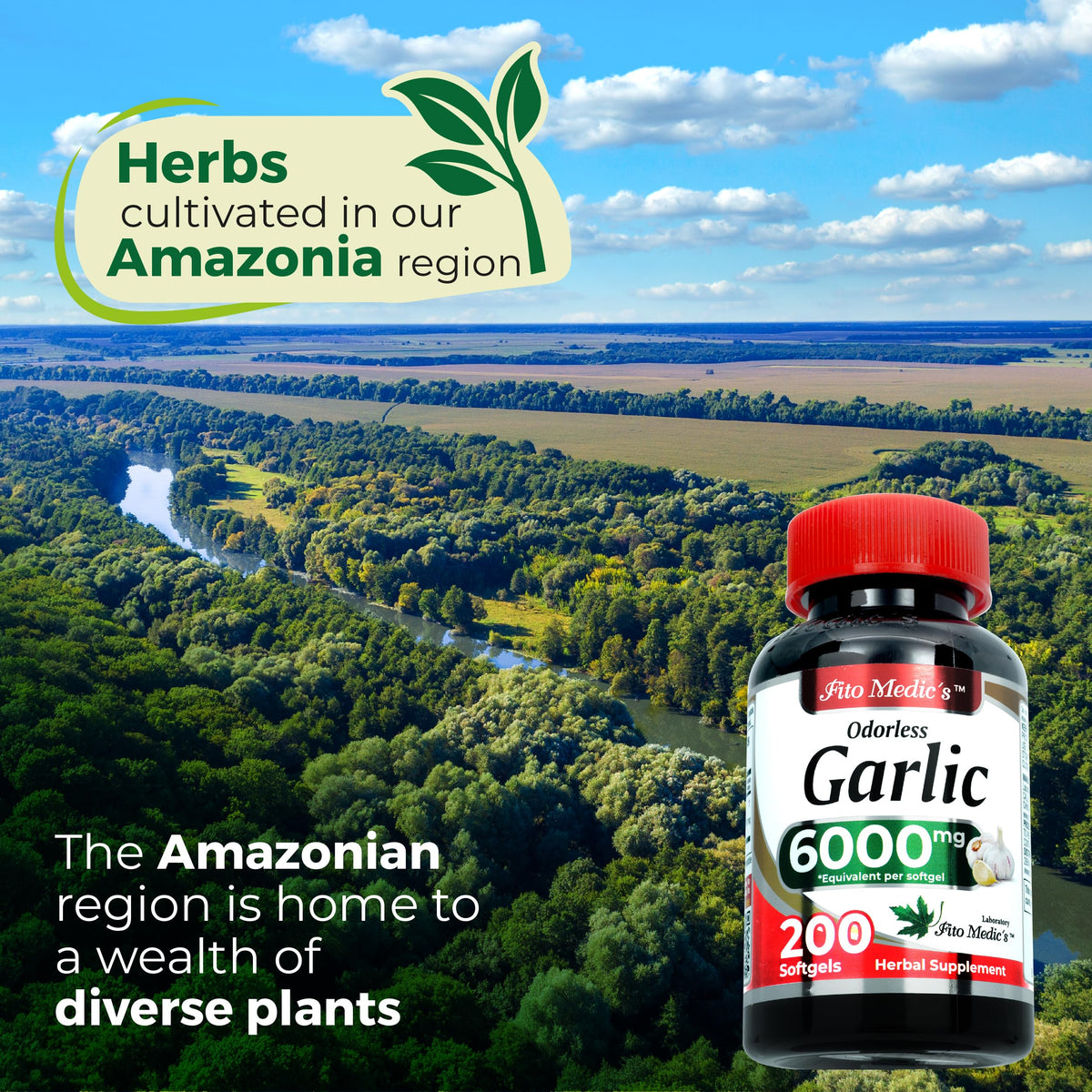 Garlic Supplements 200 Softgels Y7267